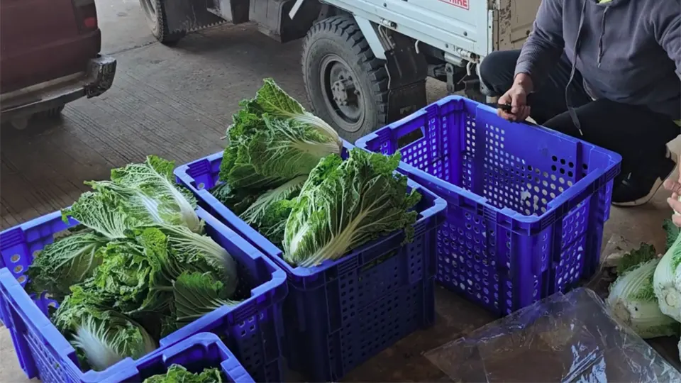 fruit-vegetable-traceability-2
